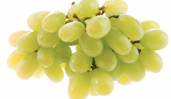 green grapes