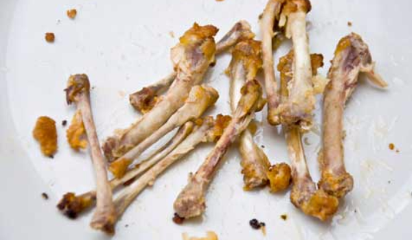 Chicken Bones