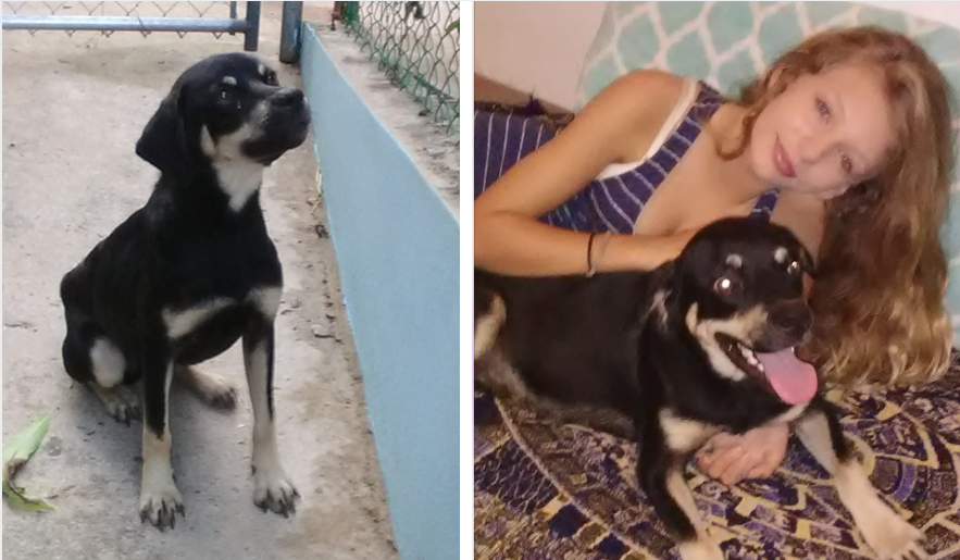 Homeless on the Beach to Now Being the King of His New Home