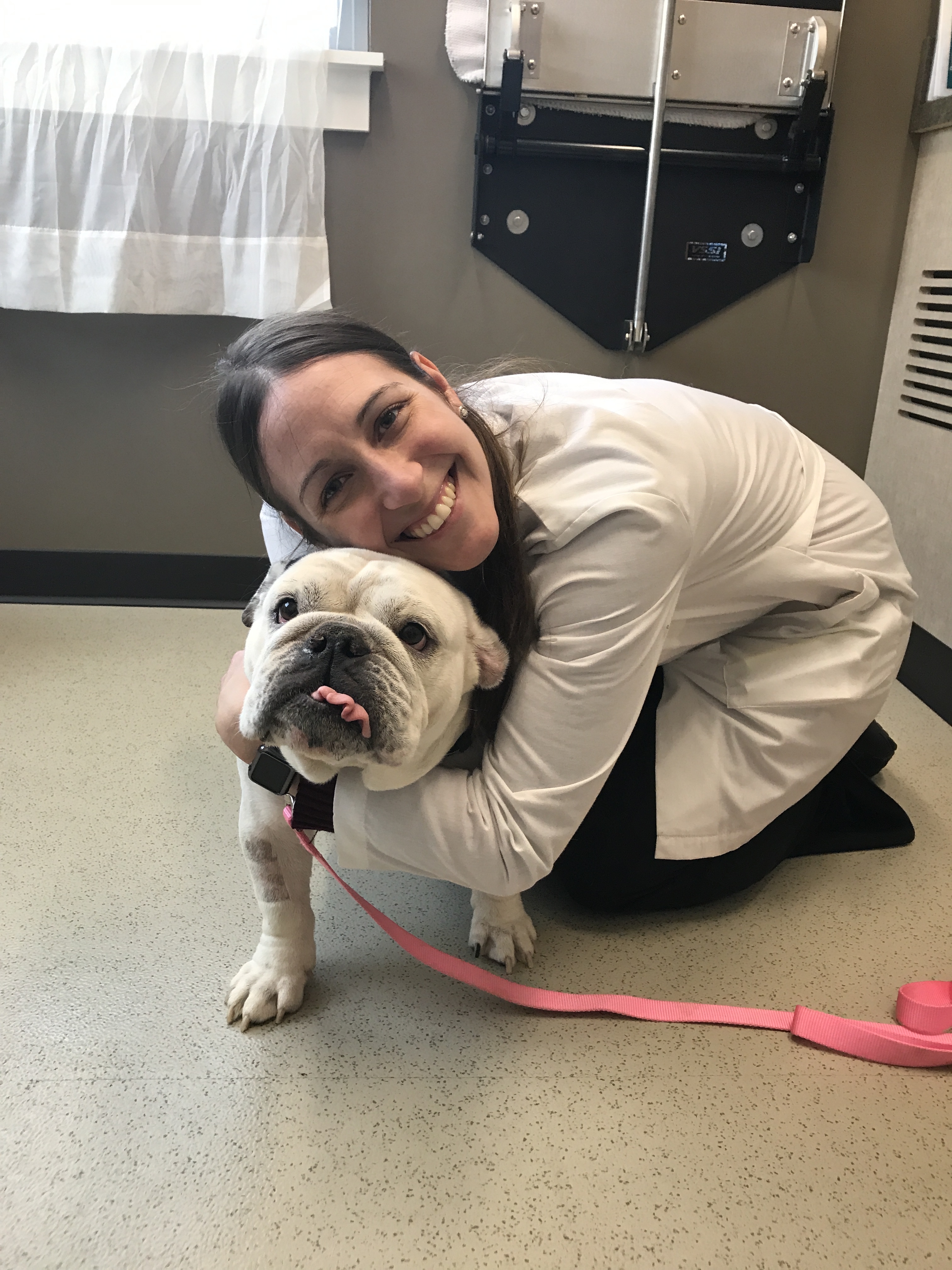 A Bulldog Who Beat The Odds