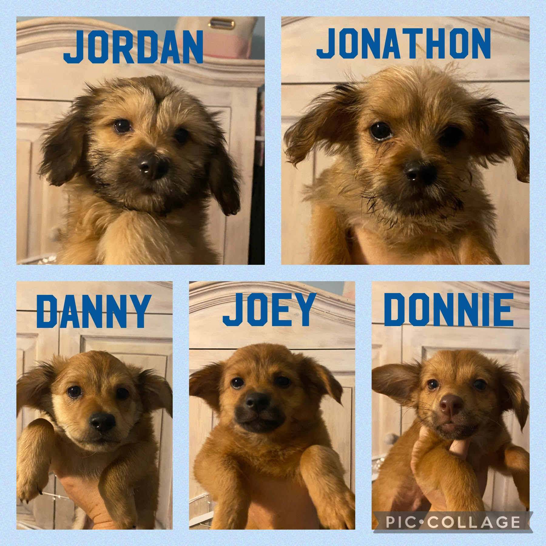Jonathon, Danny, Jordan, Joey, Donnie