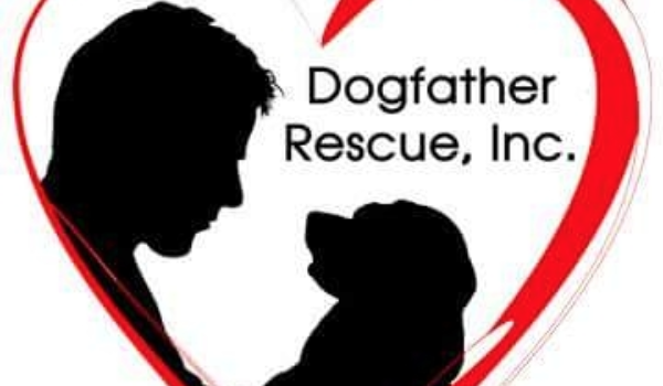Dogfather Rescue