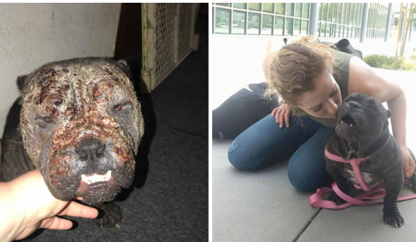 Severely Neglected Girl Gets a Chance at Forever