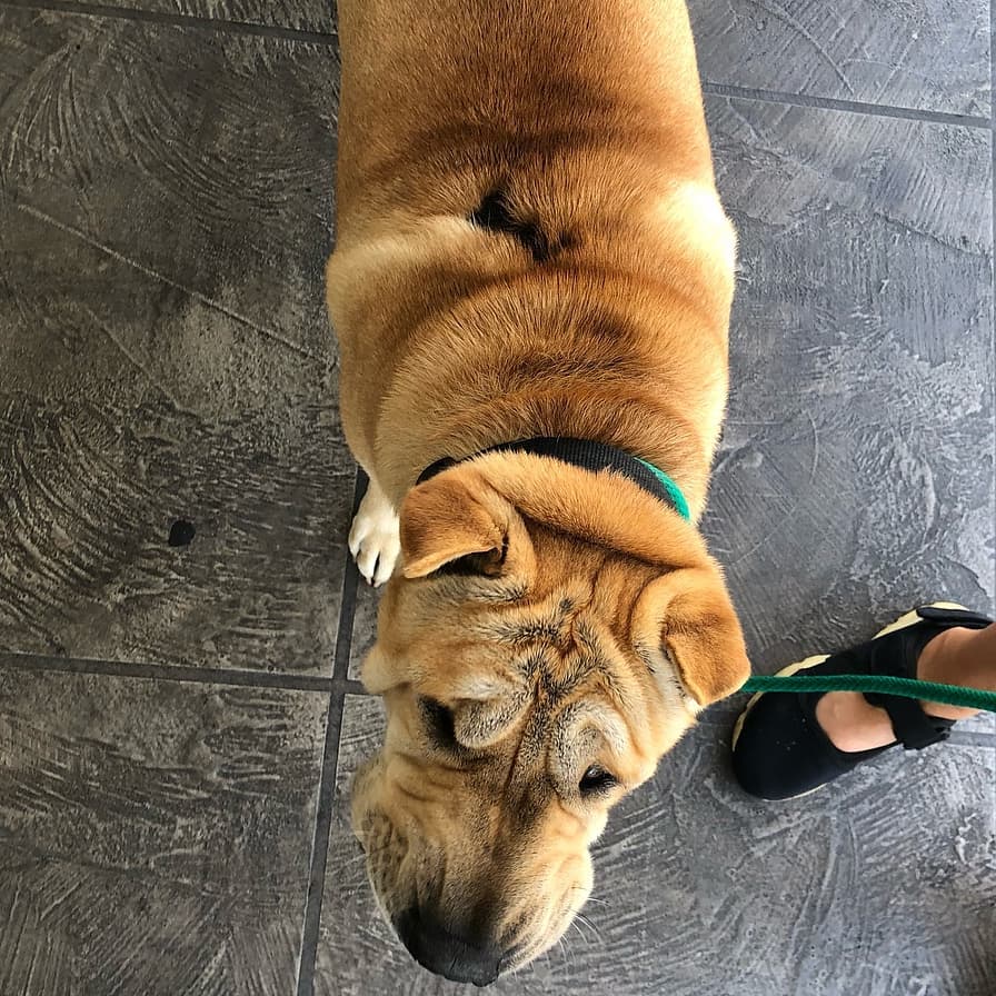 Mooky photo