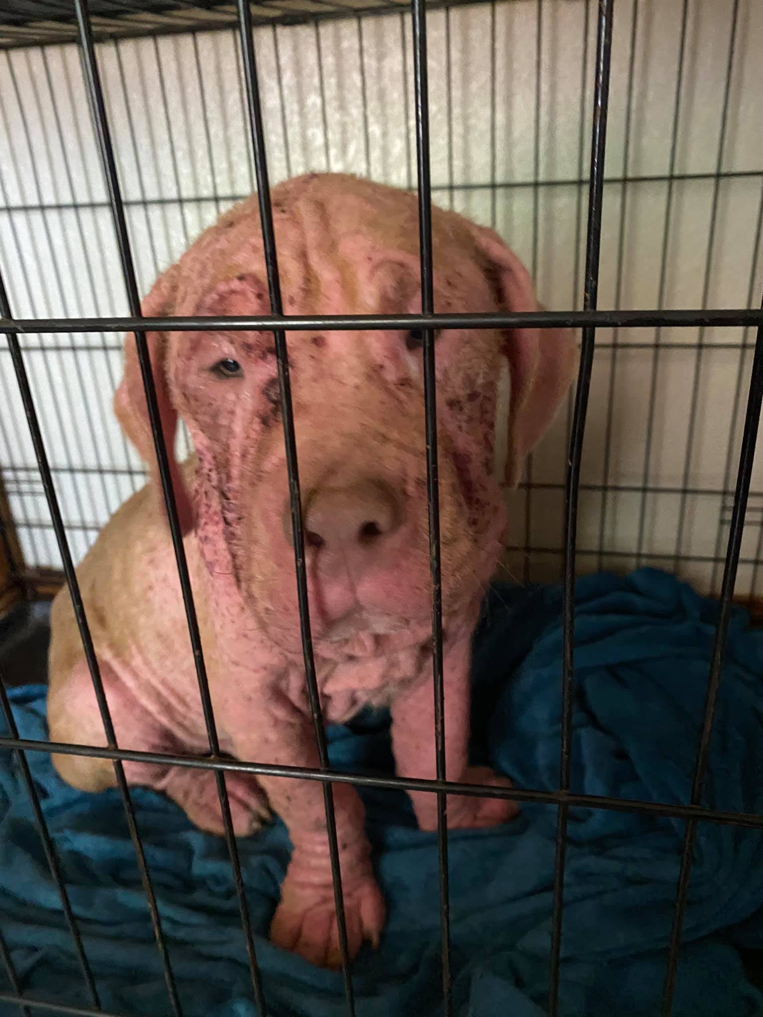 Static photo