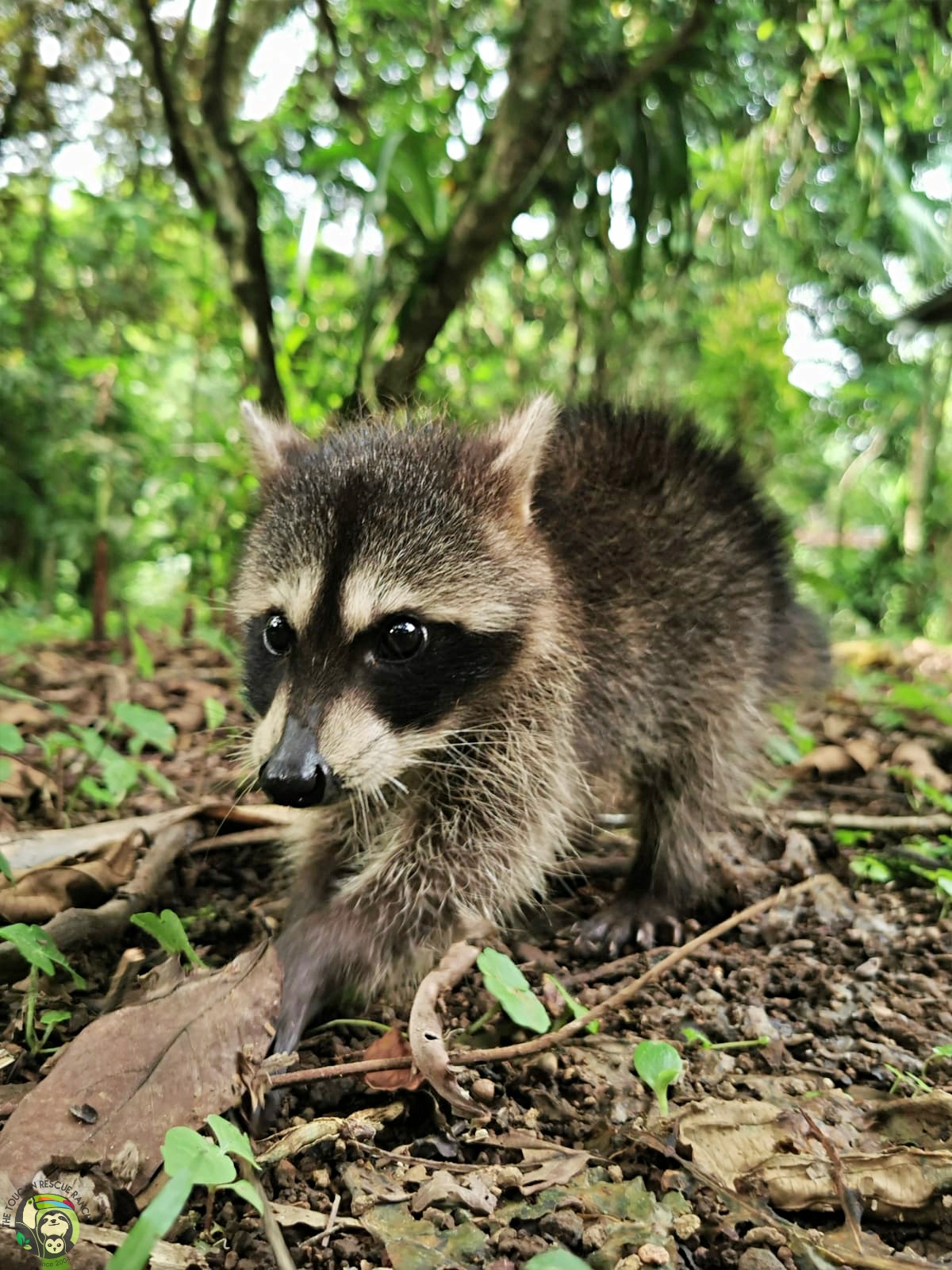 Rocket photo