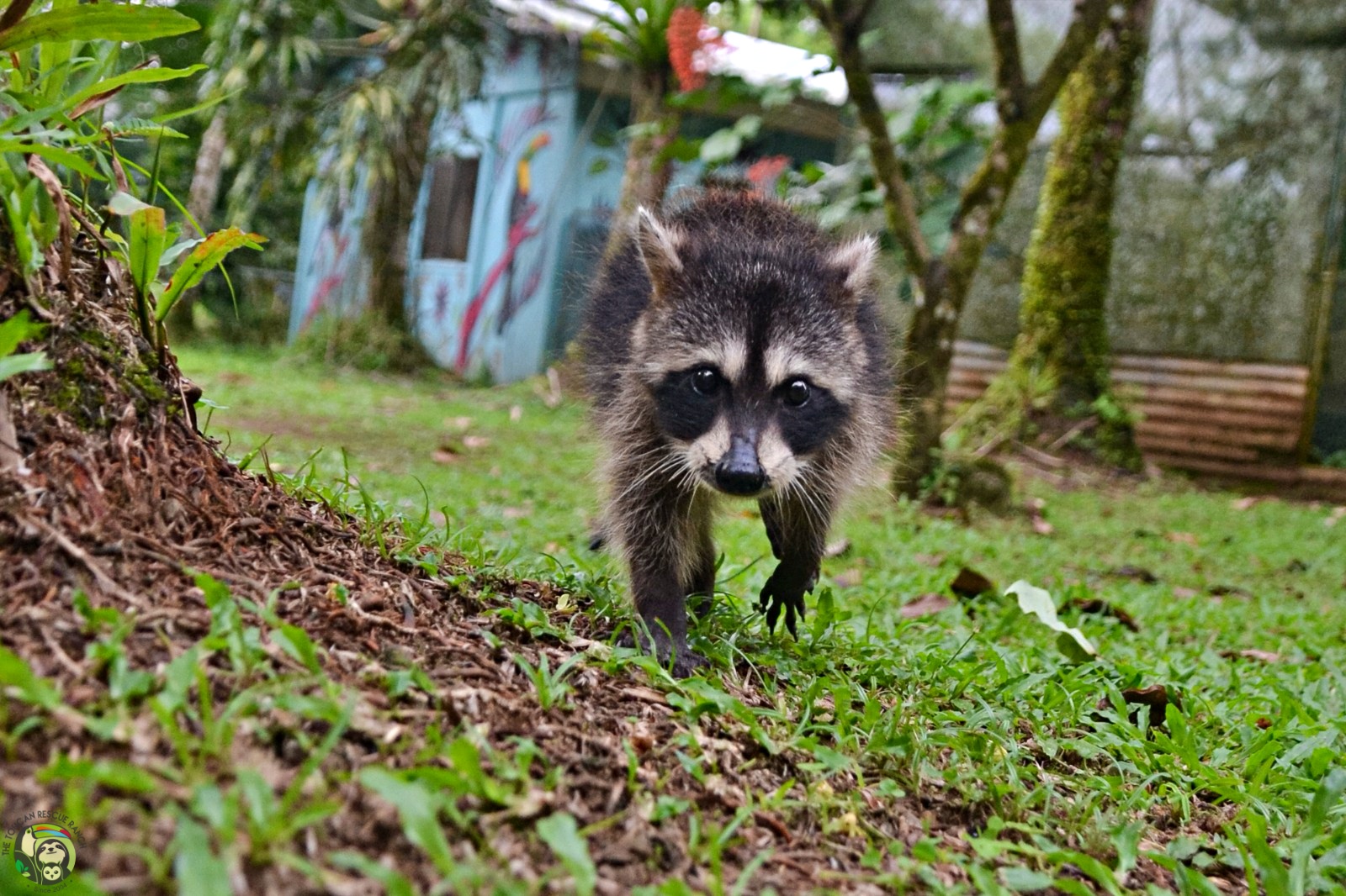 Rocket photo