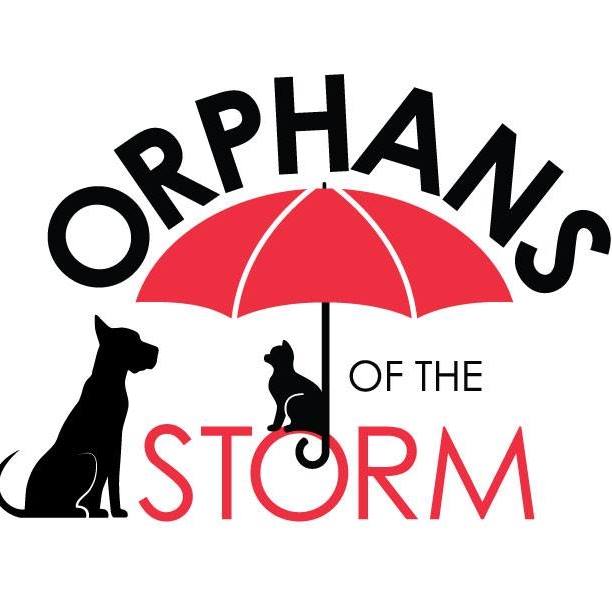 Orphans of the Storm (No Kill Animal Shelter)