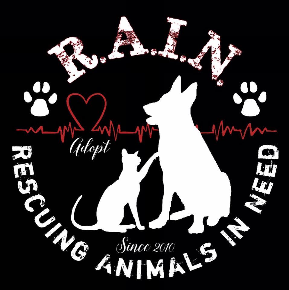 Rescuing Animals In Need (RAIN)