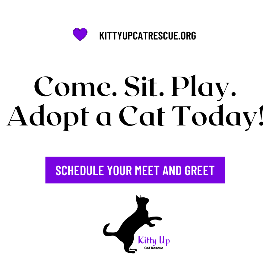 Kitty Up Cat Rescue Inc.