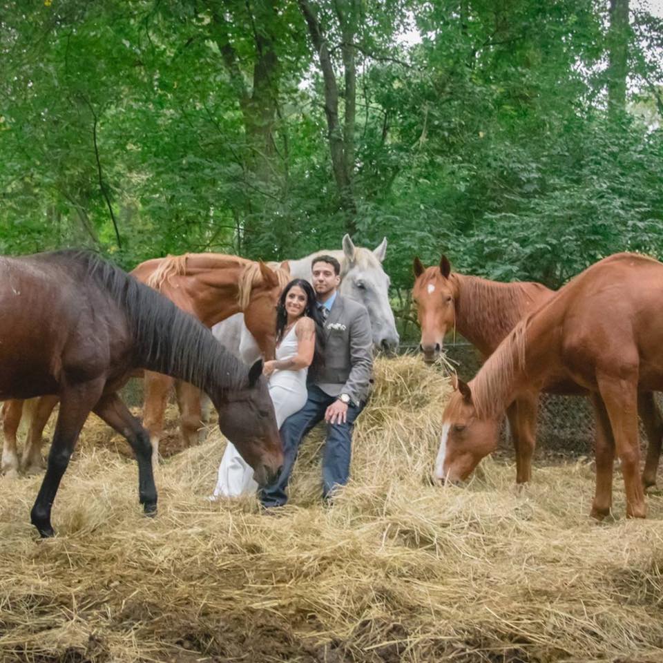 Happy Heart-Happy Home Farm and Rescue