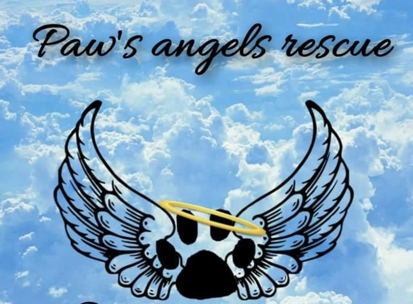 Paws Angels Dog Rescue