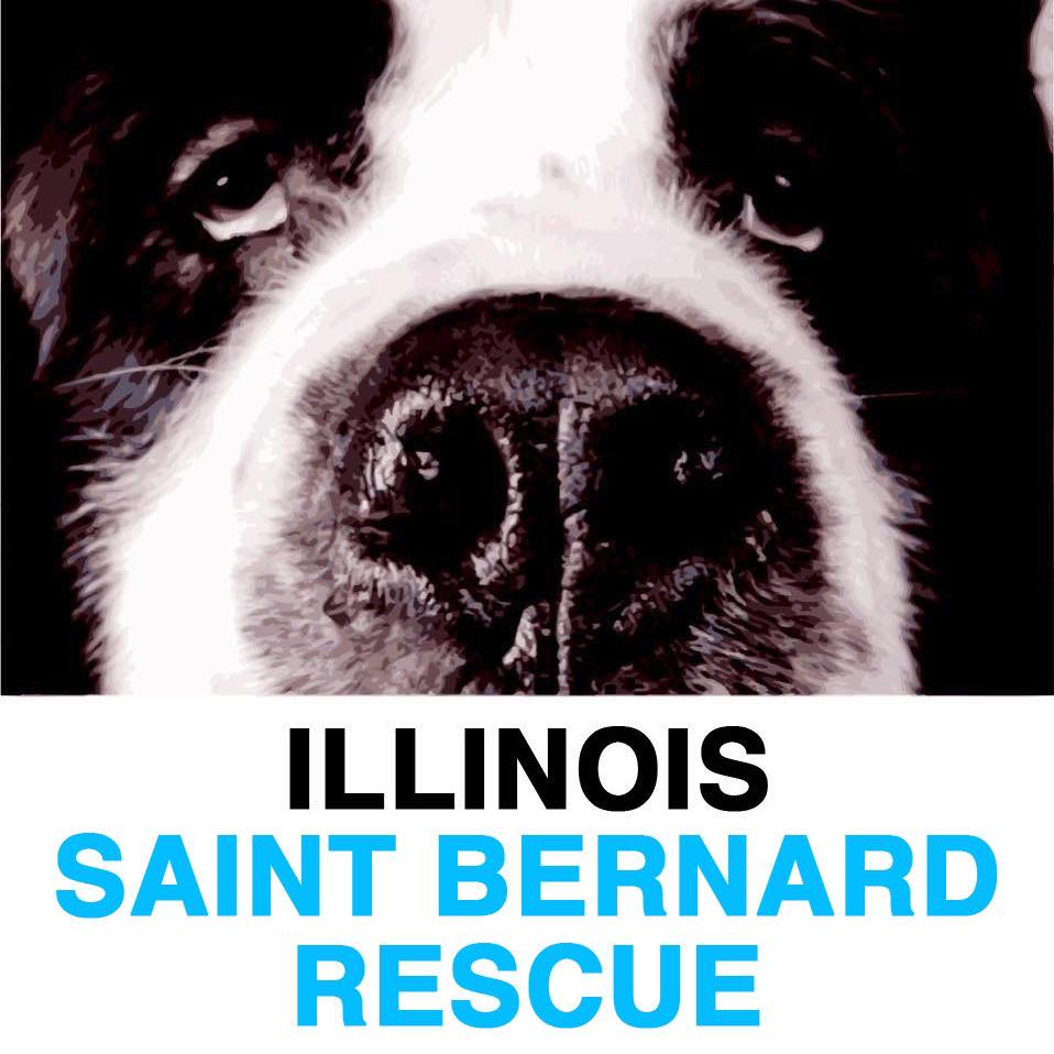 Illinois Saint Bernard Rescue