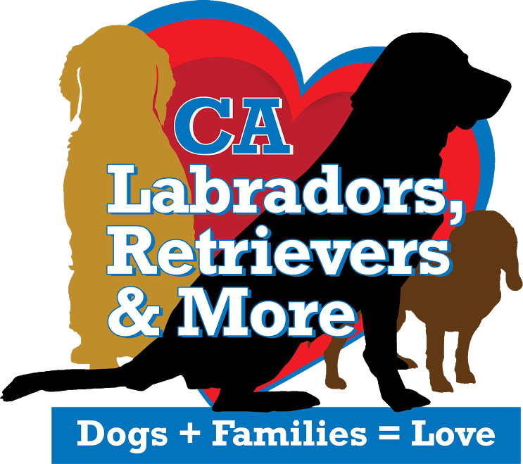 California Labradors Retrievers and More Rescue