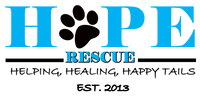 Shelter logo