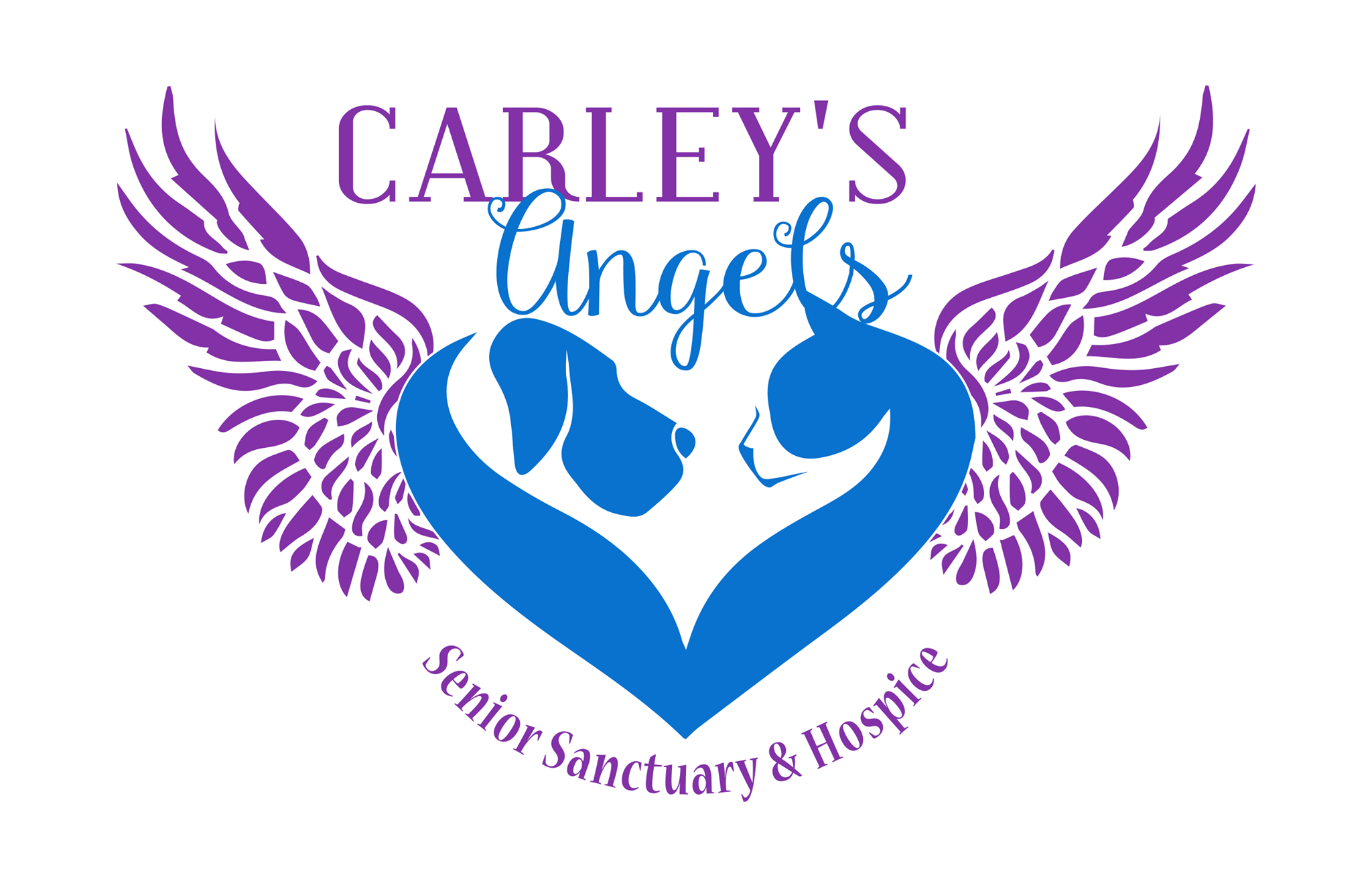 Carley's Angels