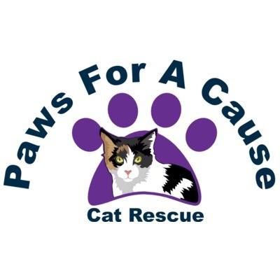 Paws For A Cause Cat Rescue