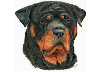 Rottweiler Rescue Society