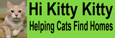 Hi Kitty Kitty Inc.