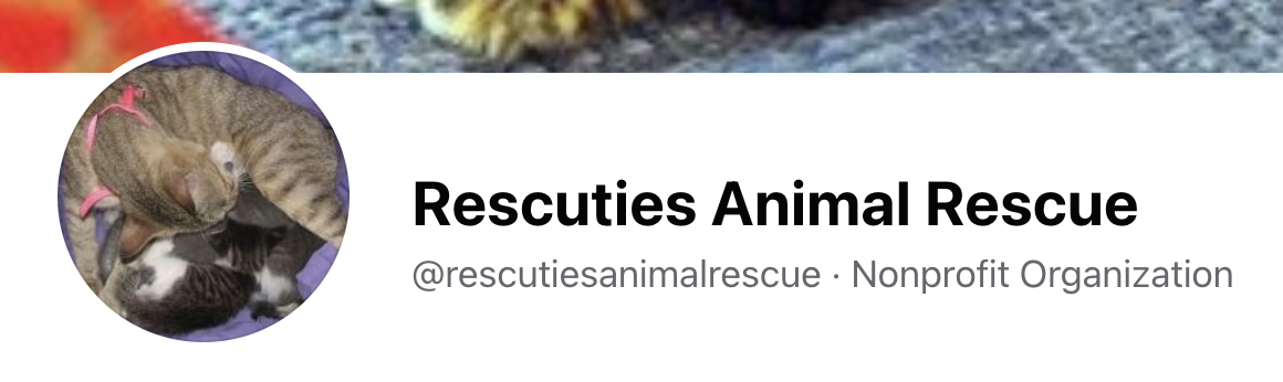 Rescuties Animal Rescue