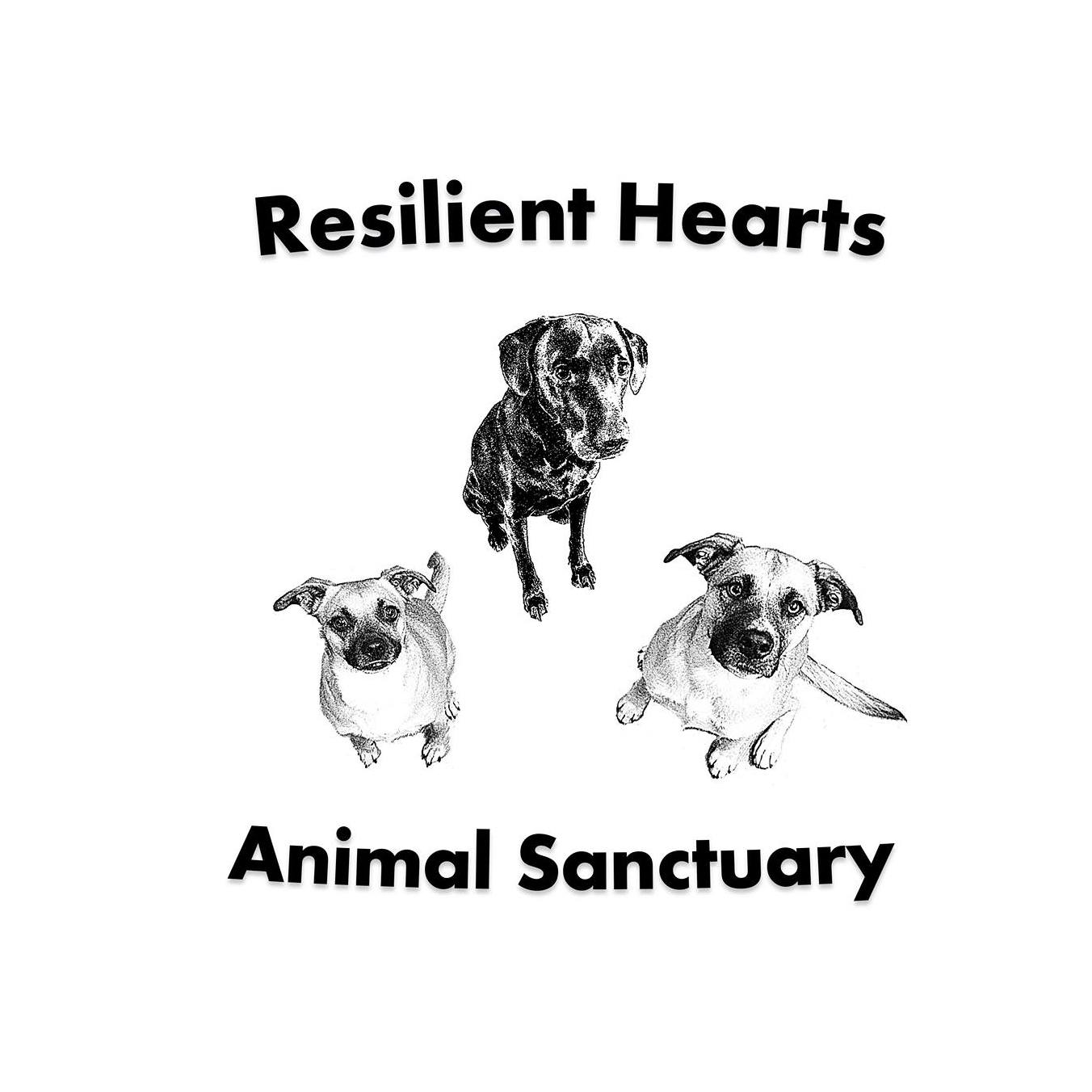 Resilient Hearts Animal Sanctuary