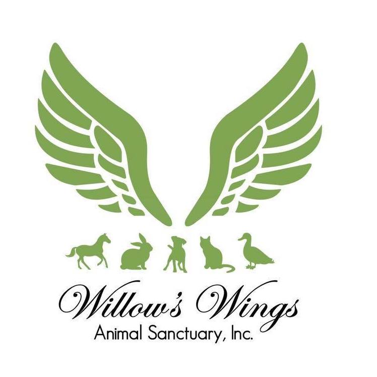 Willows Wings