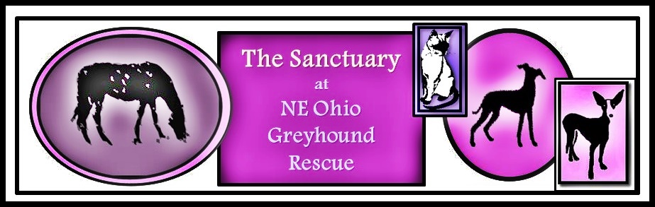 NE Ohio Greyhound Rescue