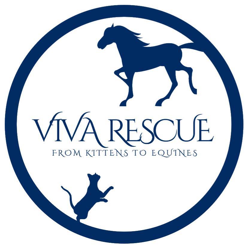 Viva Rescue Inc