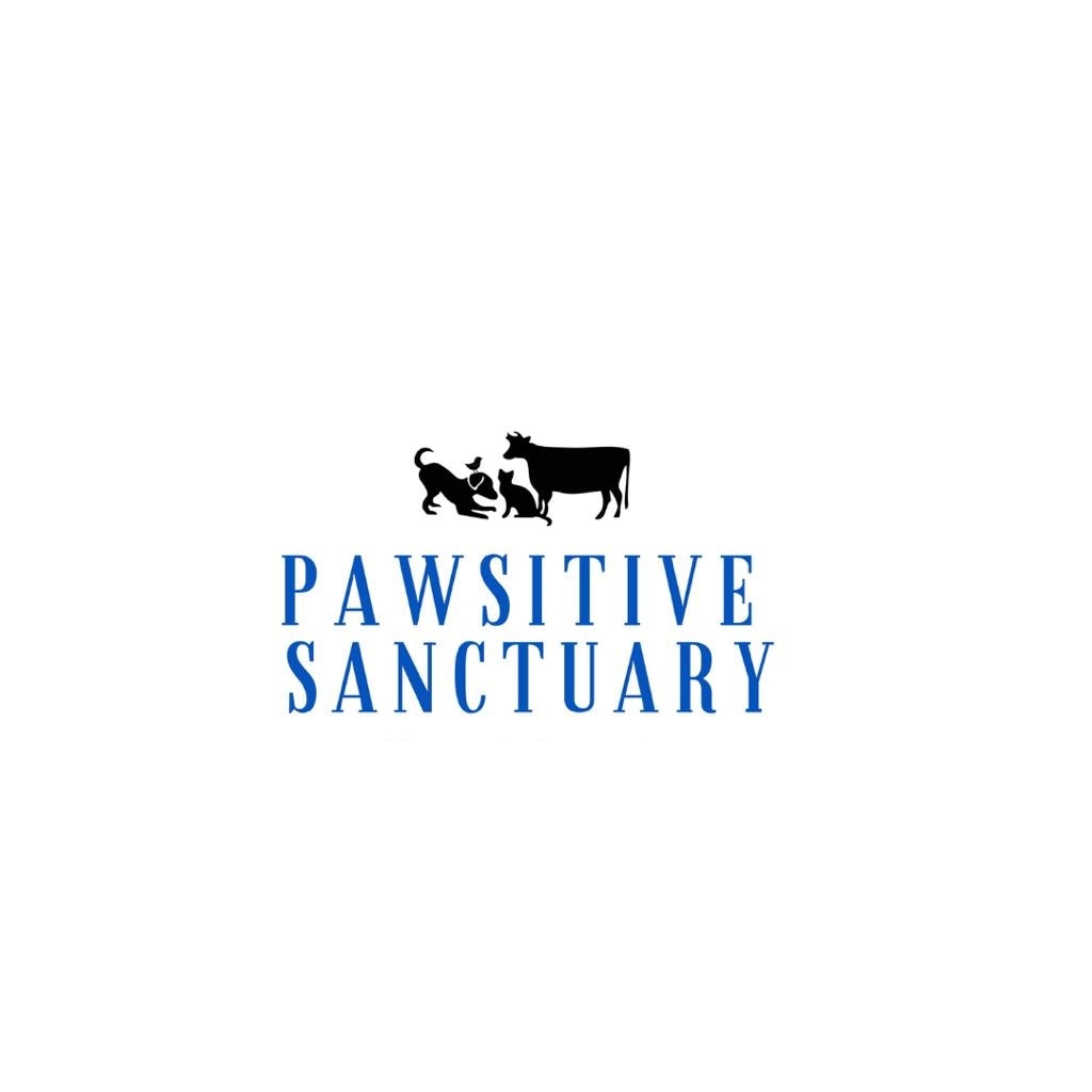 Pawsitive Sanctuary