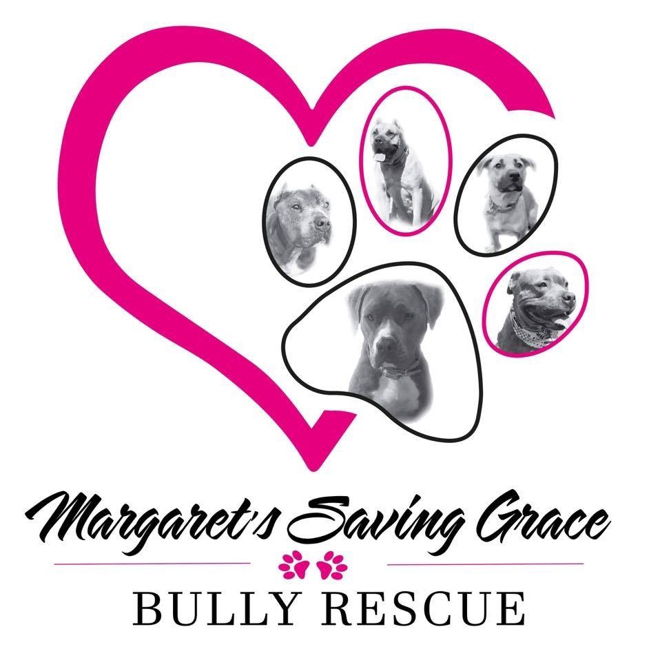 Margaret's Saving Grace Bully Rescue