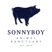 SonnyBoy Animal Sanctuary