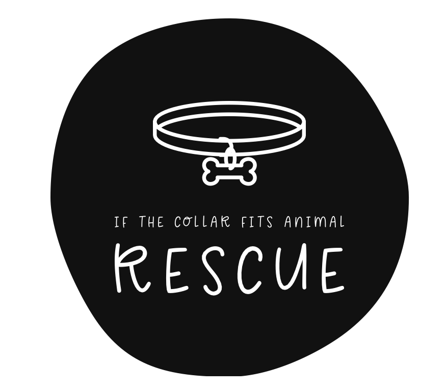 If The Collar Fits Animal Rescue