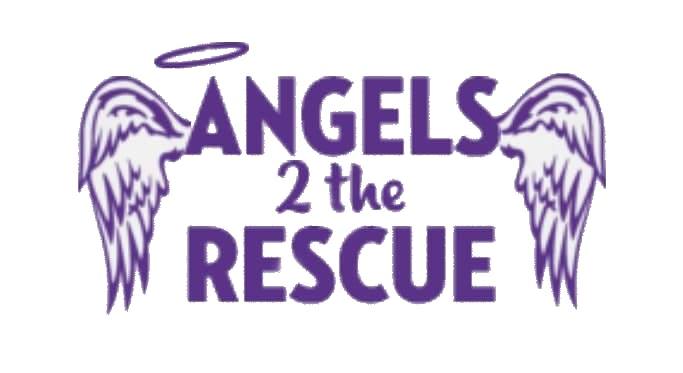 Angels 2 The Rescue
