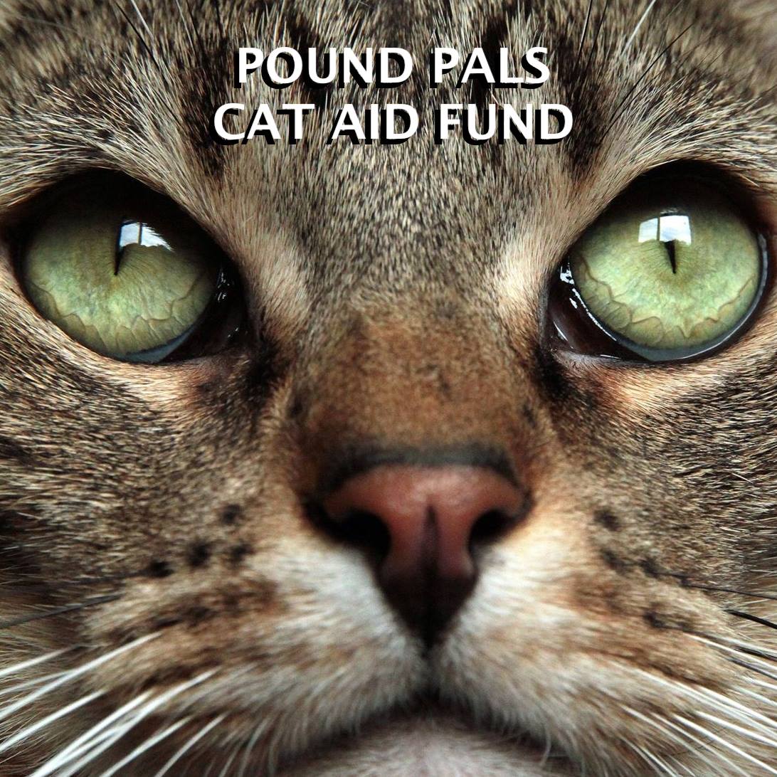 Pound Pals Cat Aid Fund