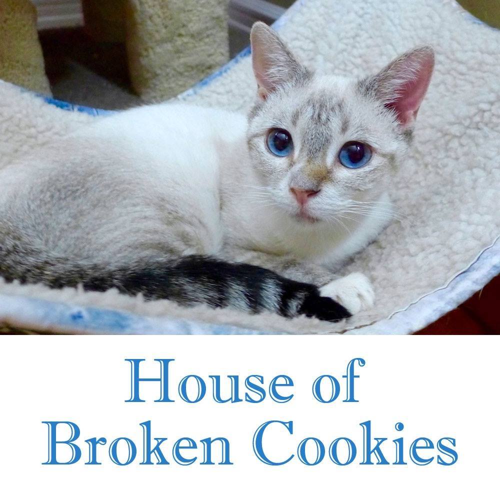 House of Broken Cookies