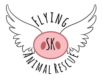 Flying Sk Animal Rescue