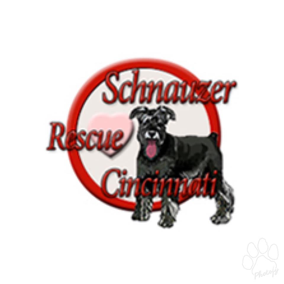 Schnauzer Rescue Cincinnati