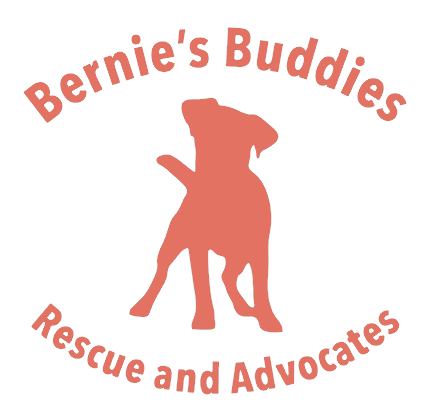 Bernies Buddies Rescue & Advocates