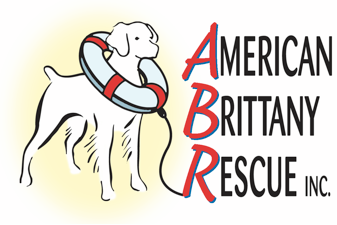 American Brittany Rescue, Inc