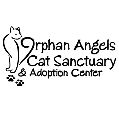 Orphan Angels Cat Sanctuary and Adoption Center