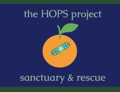 The HOPS Project