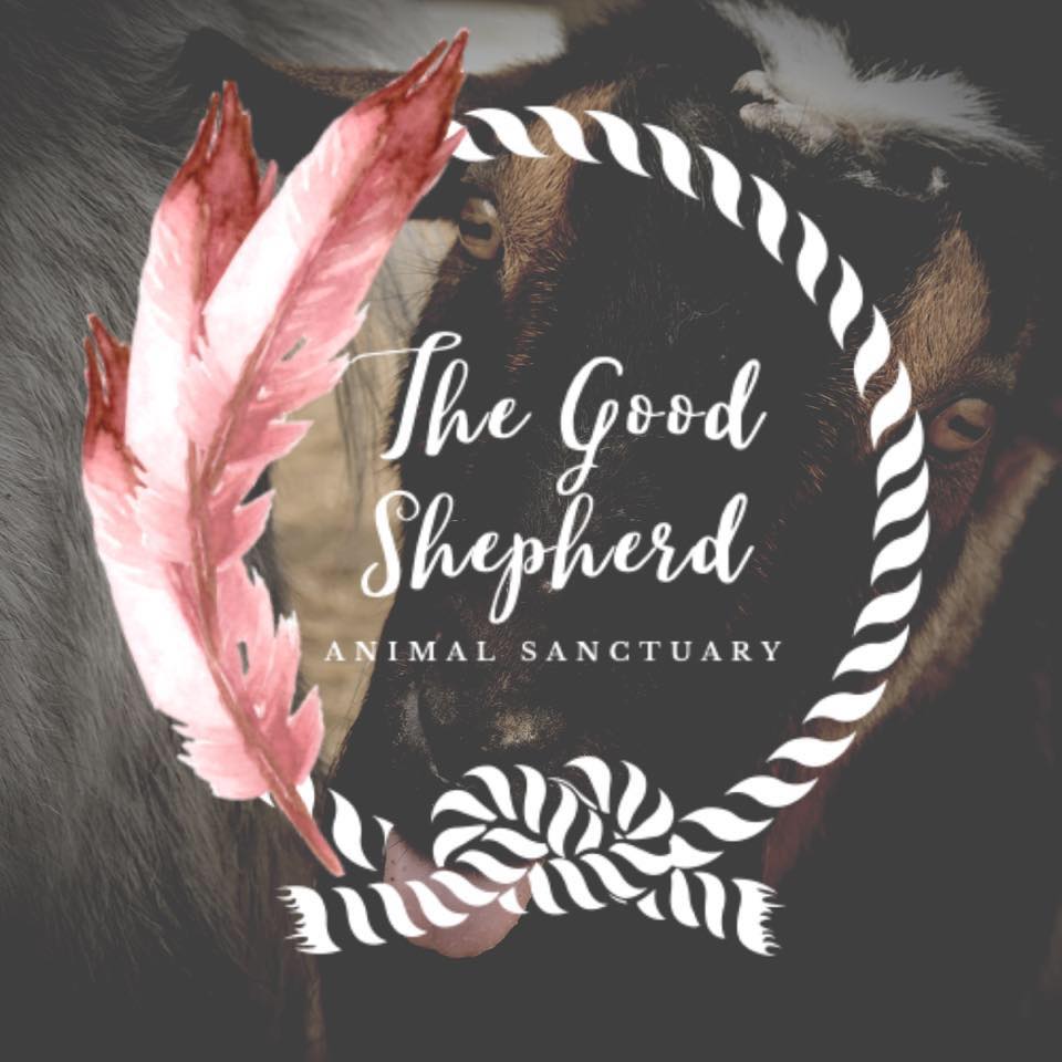 The Good Shepherd Animal Sanctuary