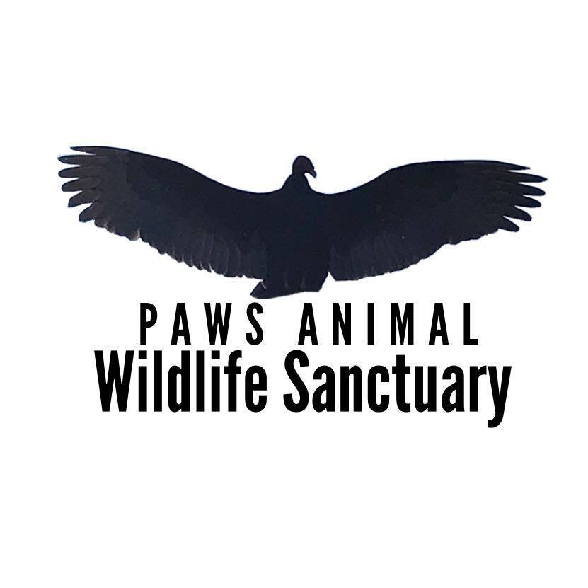 Paws Animal Wildlife Santuary Inc.