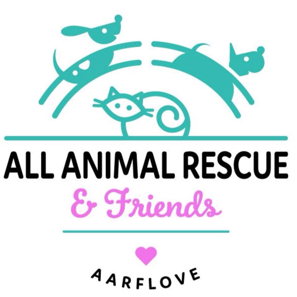 All Animal Rescue & Friends