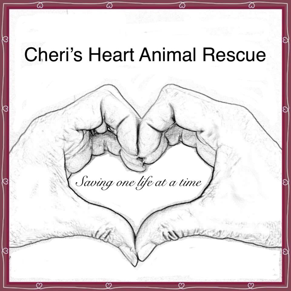 Cheri's Heart Animal Rescue