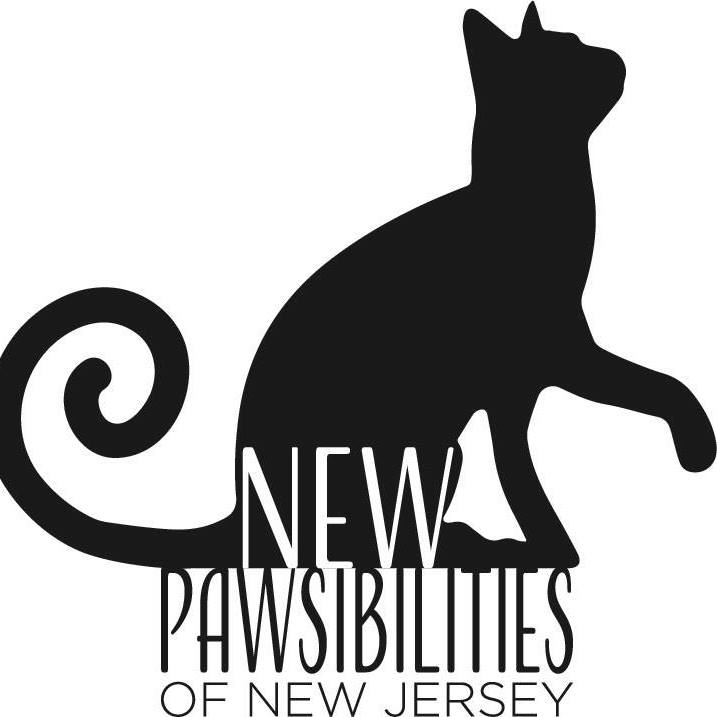 New Pawsibilities Of Nj
