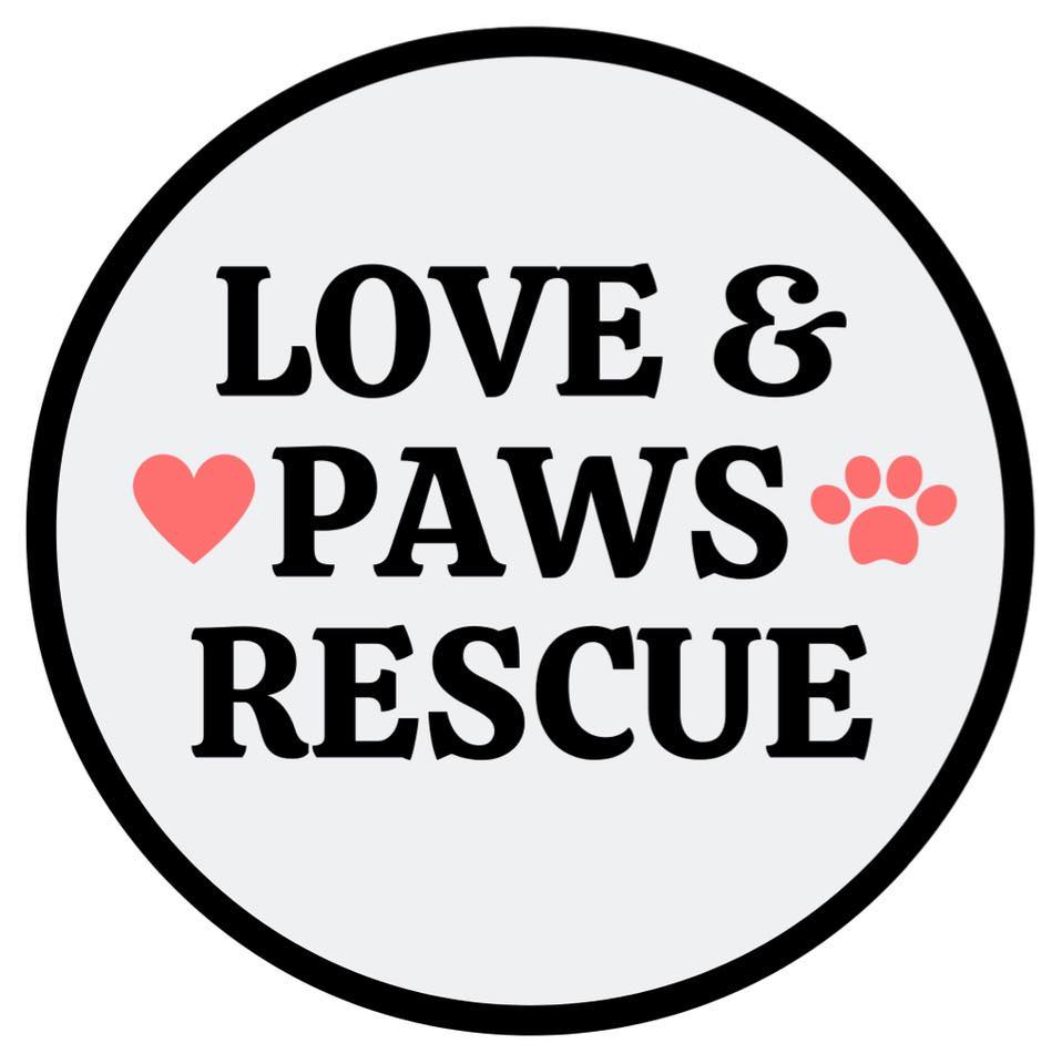 Shelter logo