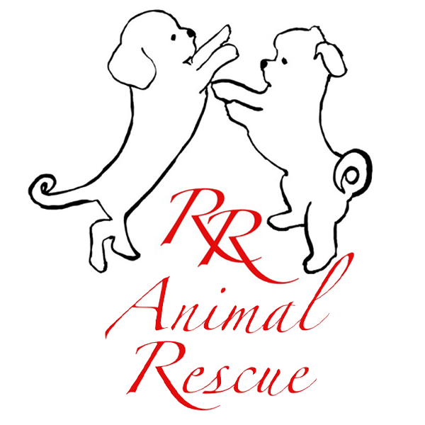 RR Animal Rescue