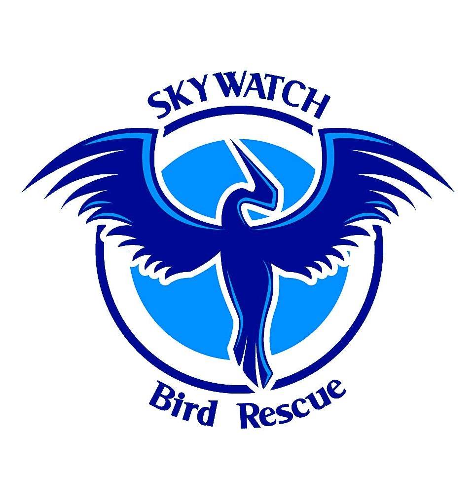 Skywatch Bird Rescue