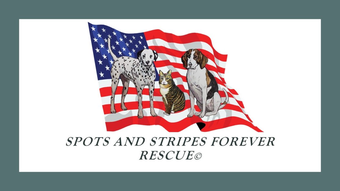 Spots And Stripes Forever Rescue